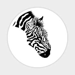 Black and White Zebra Magnet